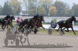 Dateiname=20251009_r05_089_R05_0357.jpg
Dateigröße=312KB
Abmessungen: 1000x667
hinzugefügt am: 09. Oktober 2025 20251009_r05_089_R05_0357.jpg