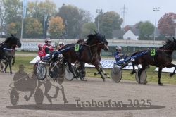 Dateiname=20251009_r05_090_R05_0362.jpg
Dateigröße=314KB
Abmessungen: 1000x667
hinzugefügt am: 09. Oktober 2025 20251009_r05_090_R05_0362.jpg