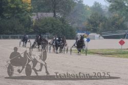 Dateiname=20251009_r05_092_R05_0372.jpg
Dateigröße=262KB
Abmessungen: 1000x667
hinzugefügt am: 09. Oktober 2025 20251009_r05_092_R05_0372.jpg