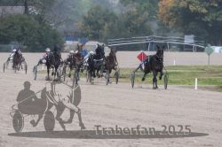 Dateiname=20251009_r05_094_R05_0380.jpg
Dateigröße=271KB
Abmessungen: 1000x667
hinzugefügt am: 09. Oktober 2025 20251009_r05_094_R05_0380.jpg