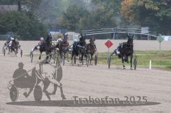 Dateiname=20251009_r05_095_R05_0383.jpg
Dateigröße=274KB
Abmessungen: 1000x667
hinzugefügt am: 09. Oktober 2025 20251009_r05_095_R05_0383.jpg