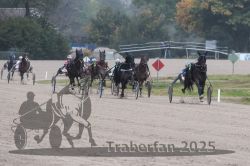 Dateiname=20251009_r05_096_R05_0386.jpg
Dateigröße=268KB
Abmessungen: 1000x667
hinzugefügt am: 09. Oktober 2025 20251009_r05_096_R05_0386.jpg