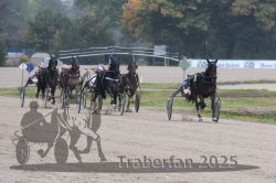 Dateiname=20251009_r05_097_R05_0397.jpg
Dateigröße=268KB
Abmessungen: 1000x667
hinzugefügt am: 09. Oktober 2025 20251009_r05_097_R05_0397.jpg