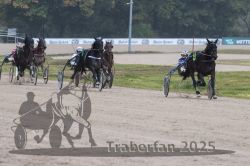 Dateiname=20251009_r05_099_R05_0406.jpg
Dateigröße=254KB
Abmessungen: 1000x667
hinzugefügt am: 09. Oktober 2025 20251009_r05_099_R05_0406.jpg