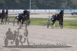 Dateiname=20251009_r05_100_R05_0409.jpg
Dateigröße=259KB
Abmessungen: 1000x667
hinzugefügt am: 09. Oktober 2025 20251009_r05_100_R05_0409.jpg