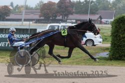 Dateiname=20251009_r05_108_R05_0436.jpg
Dateigröße=275KB
Abmessungen: 1000x667
hinzugefügt am: 09. Oktober 2025 20251009_r05_108_R05_0436.jpg