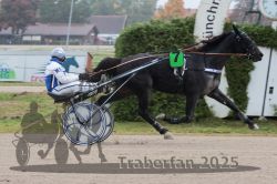 Dateiname=20251009_r05_110_R05_0444.jpg
Dateigröße=267KB
Abmessungen: 1000x667
hinzugefügt am: 09. Oktober 2025 20251009_r05_110_R05_0444.jpg