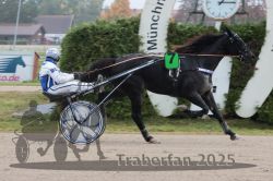 Dateiname=20251009_r05_111_R05_0445.jpg
Dateigröße=266KB
Abmessungen: 1000x667
hinzugefügt am: 09. Oktober 2025 20251009_r05_111_R05_0445.jpg