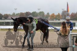 Dateiname=20251009_r05_112_R05_0454.jpg
Dateigröße=297KB
Abmessungen: 1000x667
hinzugefügt am: 09. Oktober 2025 20251009_r05_112_R05_0454.jpg