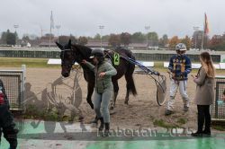 Dateiname=20251009_r05_113_R05_0465.jpg
Dateigröße=312KB
Abmessungen: 1000x667
hinzugefügt am: 09. Oktober 2025 20251009_r05_113_R05_0465.jpg