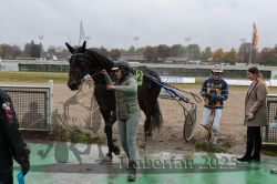 Dateiname=20251009_r05_114_R05_0475.jpg
Dateigröße=300KB
Abmessungen: 1000x667
hinzugefügt am: 09. Oktober 2025 20251009_r05_114_R05_0475.jpg