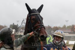 Dateiname=20251009_r05_126_R05_0530.jpg
Dateigröße=202KB
Abmessungen: 1000x667
hinzugefügt am: 09. Oktober 2025 20251009_r05_126_R05_0530.jpg