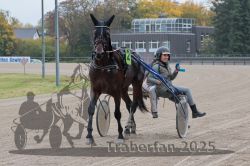 Dateiname=20251009_r05_130_R05_0559.jpg
Dateigröße=306KB
Abmessungen: 1000x667
hinzugefügt am: 09. Oktober 2025 20251009_r05_130_R05_0559.jpg