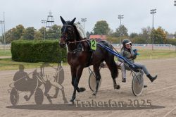 Dateiname=20251009_r05_134_R05_0572.jpg
Dateigröße=291KB
Abmessungen: 1000x667
hinzugefügt am: 09. Oktober 2025 20251009_r05_134_R05_0572.jpg