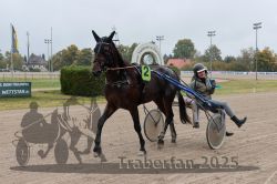 Dateiname=20251009_r05_135_R05_0575.jpg
Dateigröße=284KB
Abmessungen: 1000x667
hinzugefügt am: 09. Oktober 2025 20251009_r05_135_R05_0575.jpg