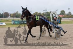 Dateiname=20251009_r05_137_R05_0581.jpg
Dateigröße=289KB
Abmessungen: 1000x667
hinzugefügt am: 09. Oktober 2025 20251009_r05_137_R05_0581.jpg