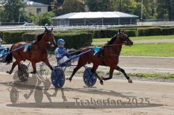 Dateiname=20251012_qu_002_QU1_0006.jpg
Dateigröße=364KB
Abmessungen: 1000x667
hinzugefügt am: 14. Oktober 2025 20251012_qu_002_QU1_0006.jpg