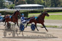 Dateiname=20251012_qu_003_QU1_0007.jpg
Dateigröße=382KB
Abmessungen: 1000x667
hinzugefügt am: 14. Oktober 2025 20251012_qu_003_QU1_0007.jpg