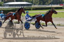 Dateiname=20251012_qu_004_QU1_0010.jpg
Dateigröße=363KB
Abmessungen: 1000x667
hinzugefügt am: 14. Oktober 2025 20251012_qu_004_QU1_0010.jpg