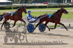 Dateiname=20251012_qu_005_QU1_0013.jpg
Dateigröße=369KB
Abmessungen: 1000x667
hinzugefügt am: 14. Oktober 2025 20251012_qu_005_QU1_0013.jpg