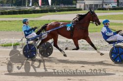 Dateiname=20251012_qu_006_QU1_0015.jpg
Dateigröße=343KB
Abmessungen: 1000x667
hinzugefügt am: 14. Oktober 2025 20251012_qu_006_QU1_0015.jpg