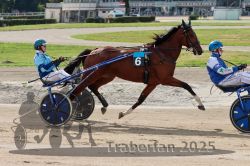 Dateiname=20251012_qu_007_QU1_0018.jpg
Dateigröße=340KB
Abmessungen: 1000x667
hinzugefügt am: 14. Oktober 2025 20251012_qu_007_QU1_0018.jpg