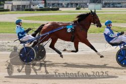 Dateiname=20251012_qu_008_QU1_0019.jpg
Dateigröße=328KB
Abmessungen: 1000x667
hinzugefügt am: 14. Oktober 2025 20251012_qu_008_QU1_0019.jpg