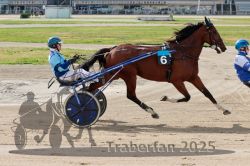 Dateiname=20251012_qu_009_QU1_0023.jpg
Dateigröße=341KB
Abmessungen: 1000x667
hinzugefügt am: 14. Oktober 2025 20251012_qu_009_QU1_0023.jpg