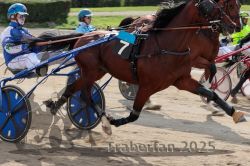 Dateiname=20251012_qu_011_QU1_0035.jpg
Dateigröße=324KB
Abmessungen: 1000x667
hinzugefügt am: 14. Oktober 2025 20251012_qu_011_QU1_0035.jpg