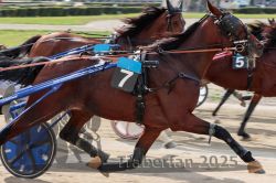 Dateiname=20251012_qu_012_QU1_0038.jpg
Dateigröße=299KB
Abmessungen: 1000x667
hinzugefügt am: 14. Oktober 2025 20251012_qu_012_QU1_0038.jpg