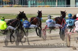 Dateiname=20251012_qu_013_QU1_0057.jpg
Dateigröße=350KB
Abmessungen: 1000x667
hinzugefügt am: 14. Oktober 2025 20251012_qu_013_QU1_0057.jpg