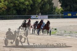 Dateiname=20251012_qu_014_QU1_0073.jpg
Dateigröße=340KB
Abmessungen: 1000x667
hinzugefügt am: 14. Oktober 2025 20251012_qu_014_QU1_0073.jpg