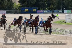 Dateiname=20251012_qu_016_QU1_0084.jpg
Dateigröße=340KB
Abmessungen: 1000x667
hinzugefügt am: 14. Oktober 2025 20251012_qu_016_QU1_0084.jpg