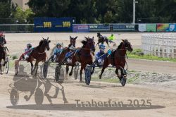 Dateiname=20251012_qu_017_QU1_0087.jpg
Dateigröße=341KB
Abmessungen: 1000x667
hinzugefügt am: 14. Oktober 2025 20251012_qu_017_QU1_0087.jpg