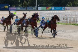 Dateiname=20251012_qu_018_QU1_0094.jpg
Dateigröße=339KB
Abmessungen: 1000x667
hinzugefügt am: 14. Oktober 2025 20251012_qu_018_QU1_0094.jpg