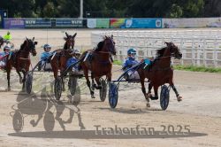 Dateiname=20251012_qu_019_QU1_0097.jpg
Dateigröße=340KB
Abmessungen: 1000x667
hinzugefügt am: 14. Oktober 2025 20251012_qu_019_QU1_0097.jpg