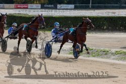 Dateiname=20251012_qu_020_QU1_0102.jpg
Dateigröße=337KB
Abmessungen: 1000x667
hinzugefügt am: 14. Oktober 2025 20251012_qu_020_QU1_0102.jpg