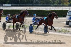 Dateiname=20251012_qu_022_QU1_0109.jpg
Dateigröße=348KB
Abmessungen: 1000x667
hinzugefügt am: 14. Oktober 2025 20251012_qu_022_QU1_0109.jpg