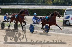 Dateiname=20251012_qu_023_QU1_0112.jpg
Dateigröße=347KB
Abmessungen: 1000x667
hinzugefügt am: 14. Oktober 2025 20251012_qu_023_QU1_0112.jpg