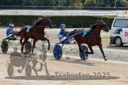 Dateiname=20251012_qu_024_QU1_0113.jpg
Dateigröße=352KB
Abmessungen: 1000x667
hinzugefügt am: 14. Oktober 2025 20251012_qu_024_QU1_0113.jpg