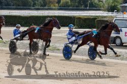 Dateiname=20251012_qu_025_QU1_0116.jpg
Dateigröße=370KB
Abmessungen: 1000x667
hinzugefügt am: 14. Oktober 2025 20251012_qu_025_QU1_0116.jpg