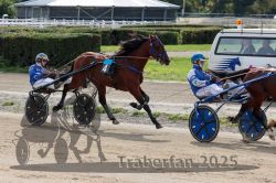 Dateiname=20251012_qu_027_QU1_0121.jpg
Dateigröße=361KB
Abmessungen: 1000x667
hinzugefügt am: 14. Oktober 2025 20251012_qu_027_QU1_0121.jpg