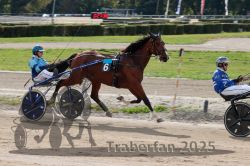 Dateiname=20251012_qu_028_QU1_0126.jpg
Dateigröße=318KB
Abmessungen: 1000x667
hinzugefügt am: 14. Oktober 2025 20251012_qu_028_QU1_0126.jpg