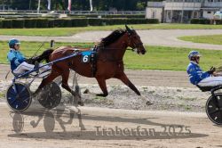 Dateiname=20251012_qu_029_QU1_0129.jpg
Dateigröße=350KB
Abmessungen: 1000x667
hinzugefügt am: 14. Oktober 2025 20251012_qu_029_QU1_0129.jpg