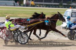 Dateiname=20251012_qu_030_QU1_0134.jpg
Dateigröße=297KB
Abmessungen: 1000x667
hinzugefügt am: 14. Oktober 2025 20251012_qu_030_QU1_0134.jpg