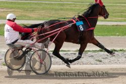 Dateiname=20251012_qu_031_QU1_0141.jpg
Dateigröße=306KB
Abmessungen: 1000x667
hinzugefügt am: 14. Oktober 2025 20251012_qu_031_QU1_0141.jpg