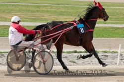 Dateiname=20251012_qu_032_QU1_0142.jpg
Dateigröße=297KB
Abmessungen: 1000x667
hinzugefügt am: 14. Oktober 2025 20251012_qu_032_QU1_0142.jpg