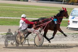 Dateiname=20251012_qu_034_QU1_0148.jpg
Dateigröße=290KB
Abmessungen: 1000x667
hinzugefügt am: 14. Oktober 2025 20251012_qu_034_QU1_0148.jpg