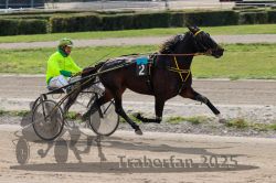 Dateiname=20251012_qu_035_QU1_0152.jpg
Dateigröße=323KB
Abmessungen: 1000x667
hinzugefügt am: 14. Oktober 2025 20251012_qu_035_QU1_0152.jpg