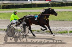 Dateiname=20251012_qu_036_QU1_0153.jpg
Dateigröße=314KB
Abmessungen: 1000x667
hinzugefügt am: 14. Oktober 2025 20251012_qu_036_QU1_0153.jpg